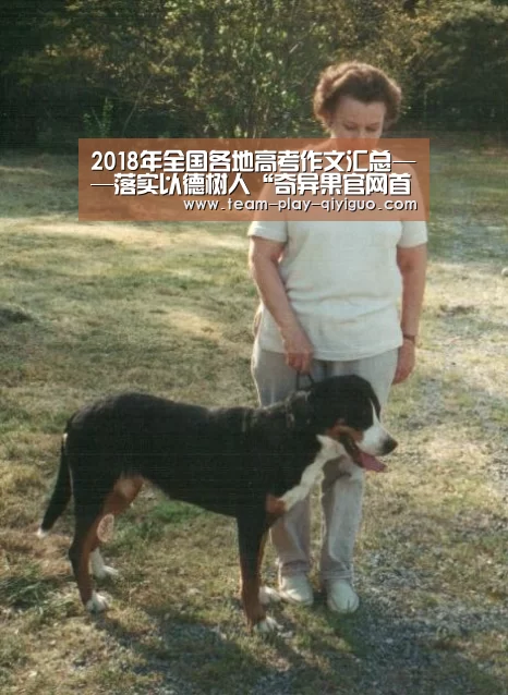 奇异果官网首页